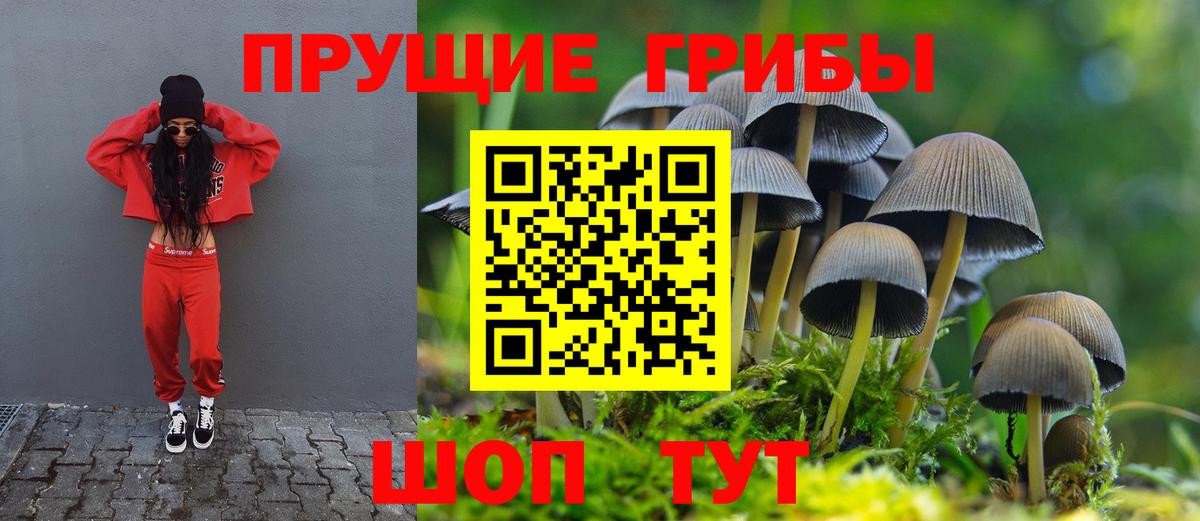 Галлюциногенные грибы прущие грибы  Вход с VPN  Галлюциногенные грибы Cubensis  Кыштым 