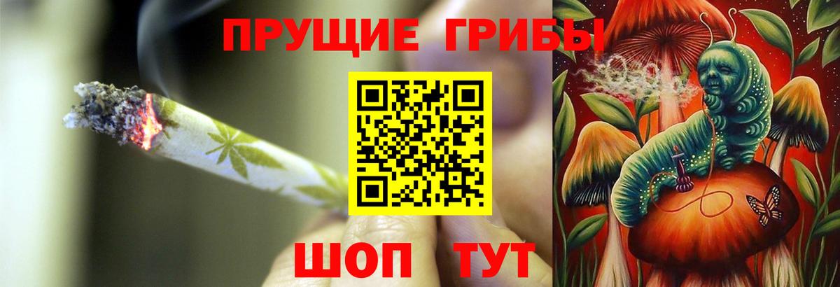 Галлюциногенные грибы Psilocybe Кыштым
